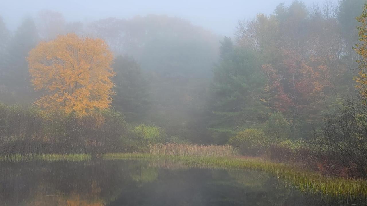 Chester Franklyn Farm Inn المظهر الخارجي الصورة